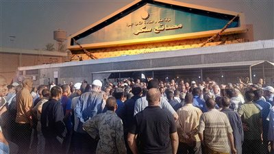 شلل تام في شركة السكر.. إضراب العمال بـ9 مصانع يدخل يومه العاشر