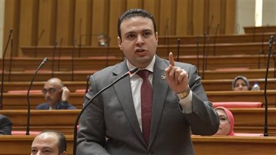 نائب يهاجم قرار الحكومة بإلغاء الاعفاءات للهواتف لانه ضد مصلحة المصريين بالخارج  