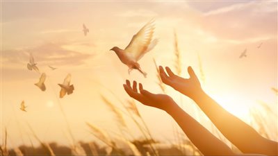 من التسامح إلى الخزي