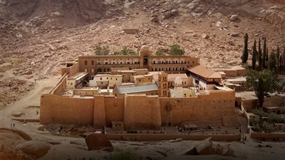 المحافظ قدم 