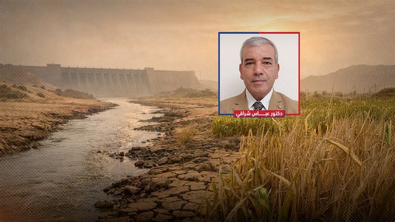 موقع الصفحة الأولى