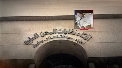 بلاغ لـ«الانتربول».. خسائر 33 مليون جنيه في اتحاد المهن الطبية بسبب صفقة عجول 