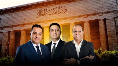 3 أسباب وراء إسقاط عضوية نائبي منيا القمح وإعادة الانتخابات من جديد