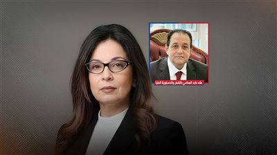 «الاقتباس المشروع».. محامى جيهان زكي توضح خمس نقاط حول اتهام وزيرة الثقافة 