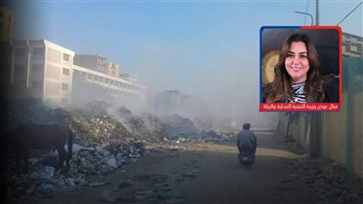 رغم فحص «البيئة» 5 مناطق.. استمرار شكاوى المواطنين بالجيزة من انتشار الروائح الكريهة 