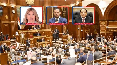  حصاد 5 أشهر فى مجلس الشيوخ.. 14 لجنة تكتب «روشتة» التعديلات القانونية