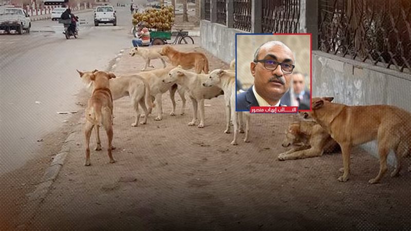 موقع الصفحة الأولى