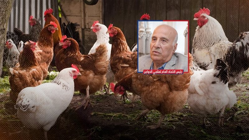 موقع الصفحة الأولى