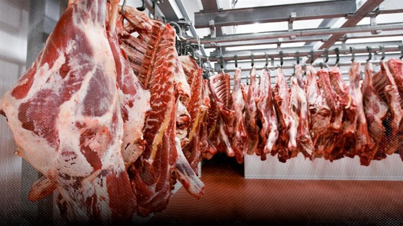 موقع الصفحة الأولى