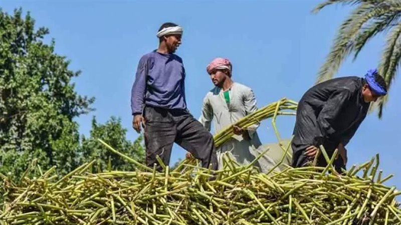 موقع الصفحة الأولى