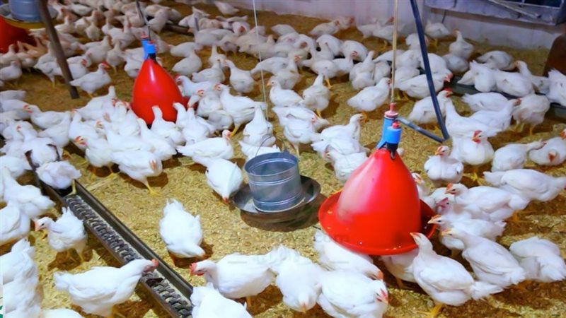 موقع الصفحة الأولى