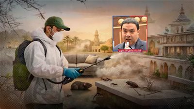 «مبيدات الموت» تحت قبة البرلمان.. تحركات لمحاصرة شركات مكافحة الحشرات الوهمية