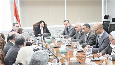 طرح الحكومة وحدات سكنية للإيجار يثير الجدل.. خبير: دور الدولة الدعم وليس الربح 