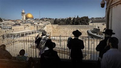 مخططات جماعات الهيكل لـ«ذبح القرابين» داخل المسجد الأقصى.. حاخام: تم تجهيز الأغنام