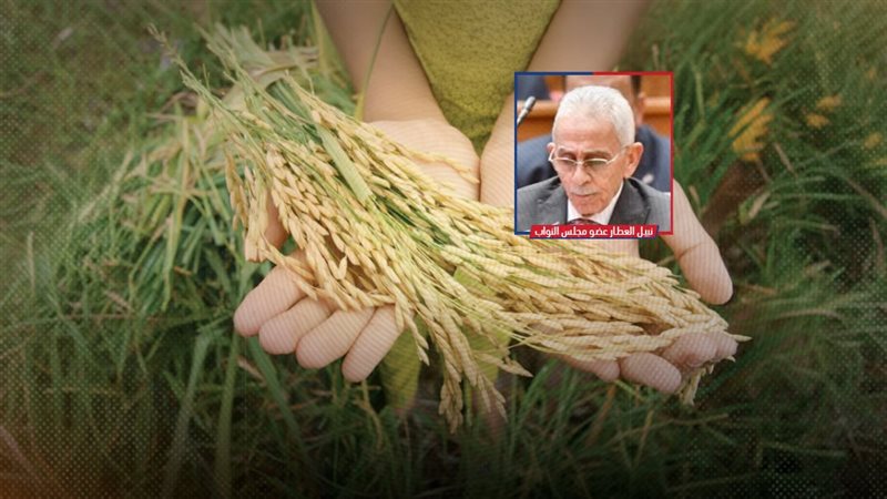 موقع الصفحة الأولى