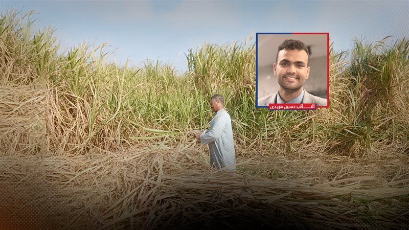 موقع الصفحة الأولى