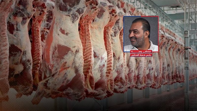 موقع الصفحة الأولى