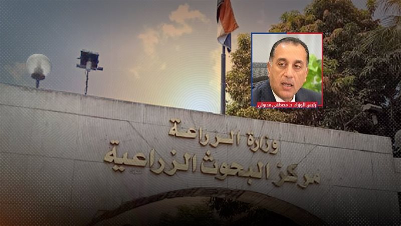 موقع الصفحة الأولى