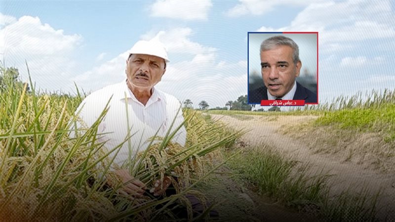 موقع الصفحة الأولى