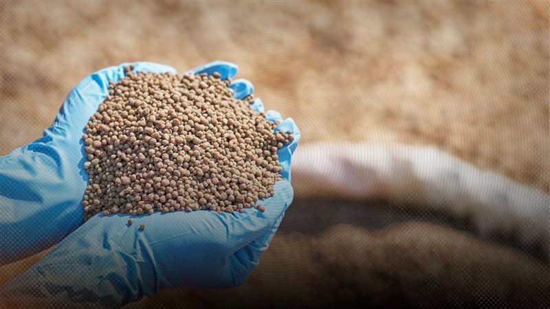 موقع الصفحة الأولى