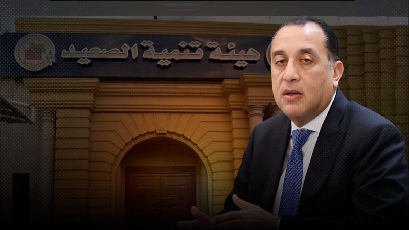 موقع الصفحة الأولى