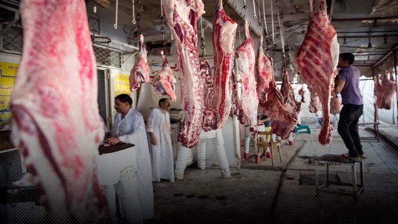 موقع الصفحة الأولى