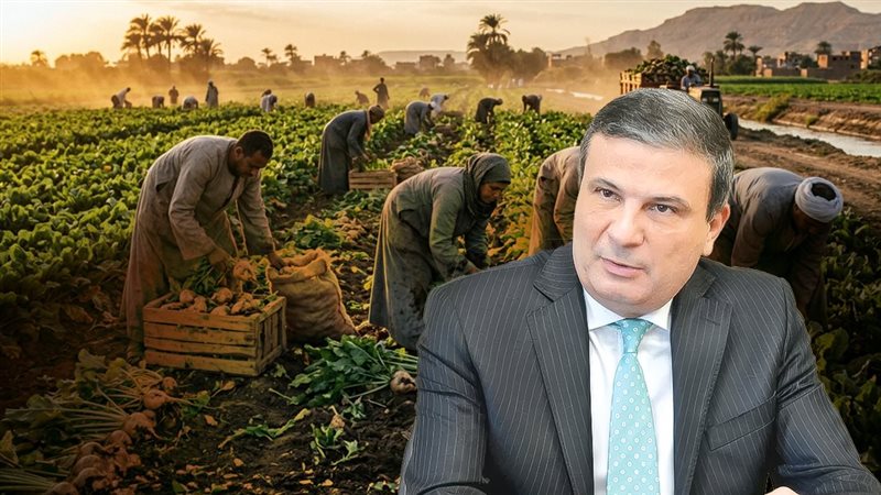 موقع الصفحة الأولى