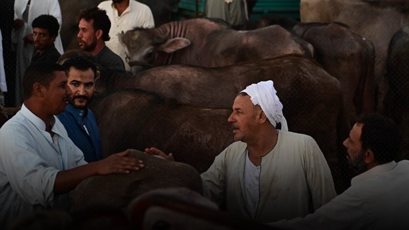 موقع الصفحة الأولى