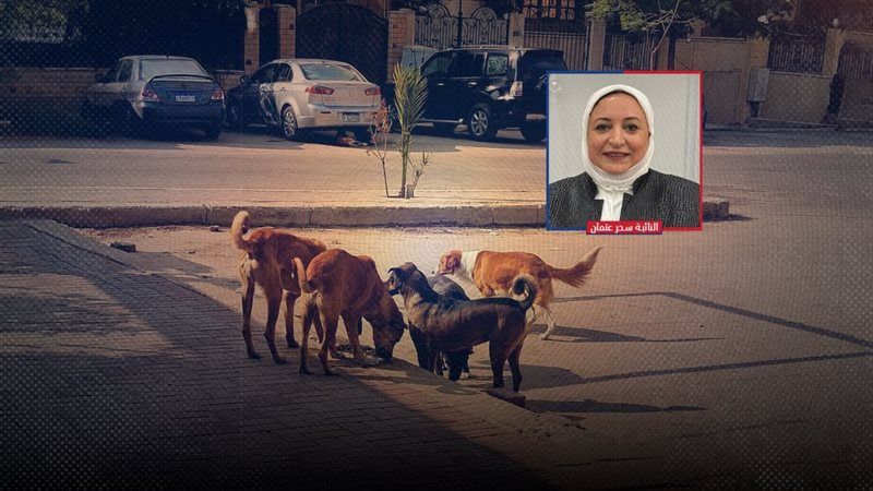 موقع الصفحة الأولى