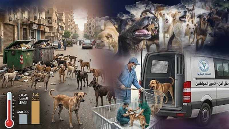 موقع الصفحة الأولى