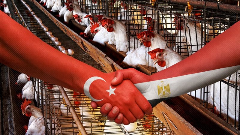 موقع الصفحة الأولى