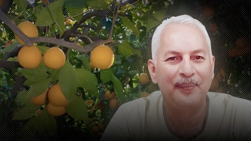 موقع الصفحة الأولى