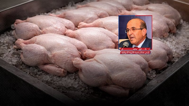 موقع الصفحة الأولى