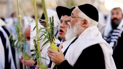 نتاج الحركة الدينية في الكيان