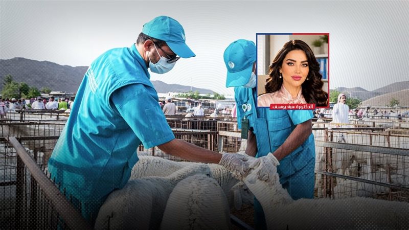 موقع الصفحة الأولى