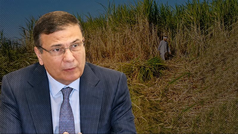 موقع الصفحة الأولى