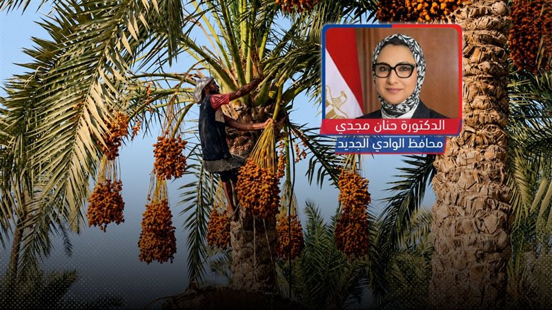 موقع الصفحة الأولى