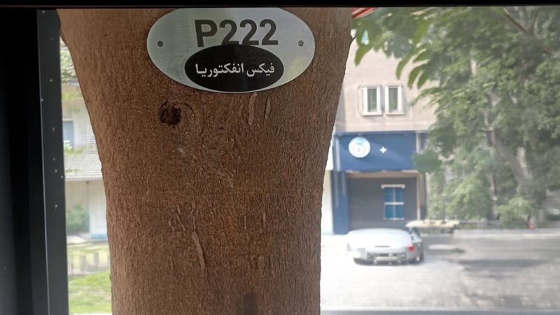موقع الصفحة الأولى