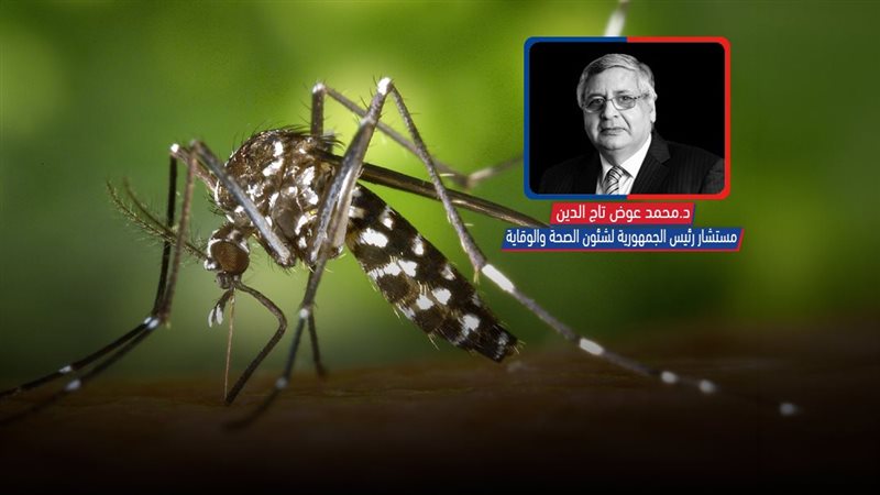 موقع الصفحة الأولى