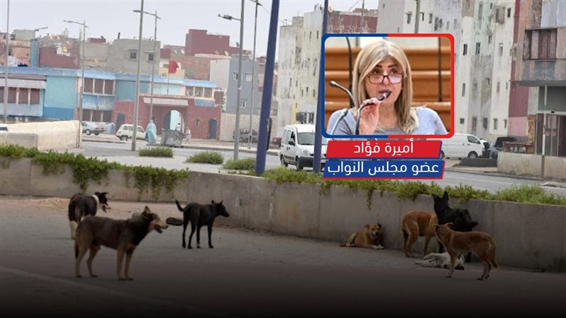 موقع الصفحة الأولى